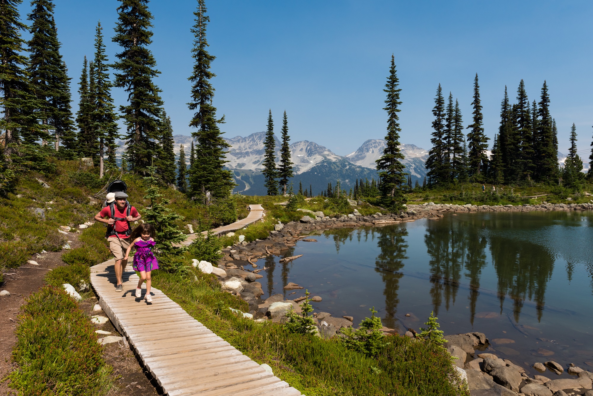 Visit Whistler with your kids this summer